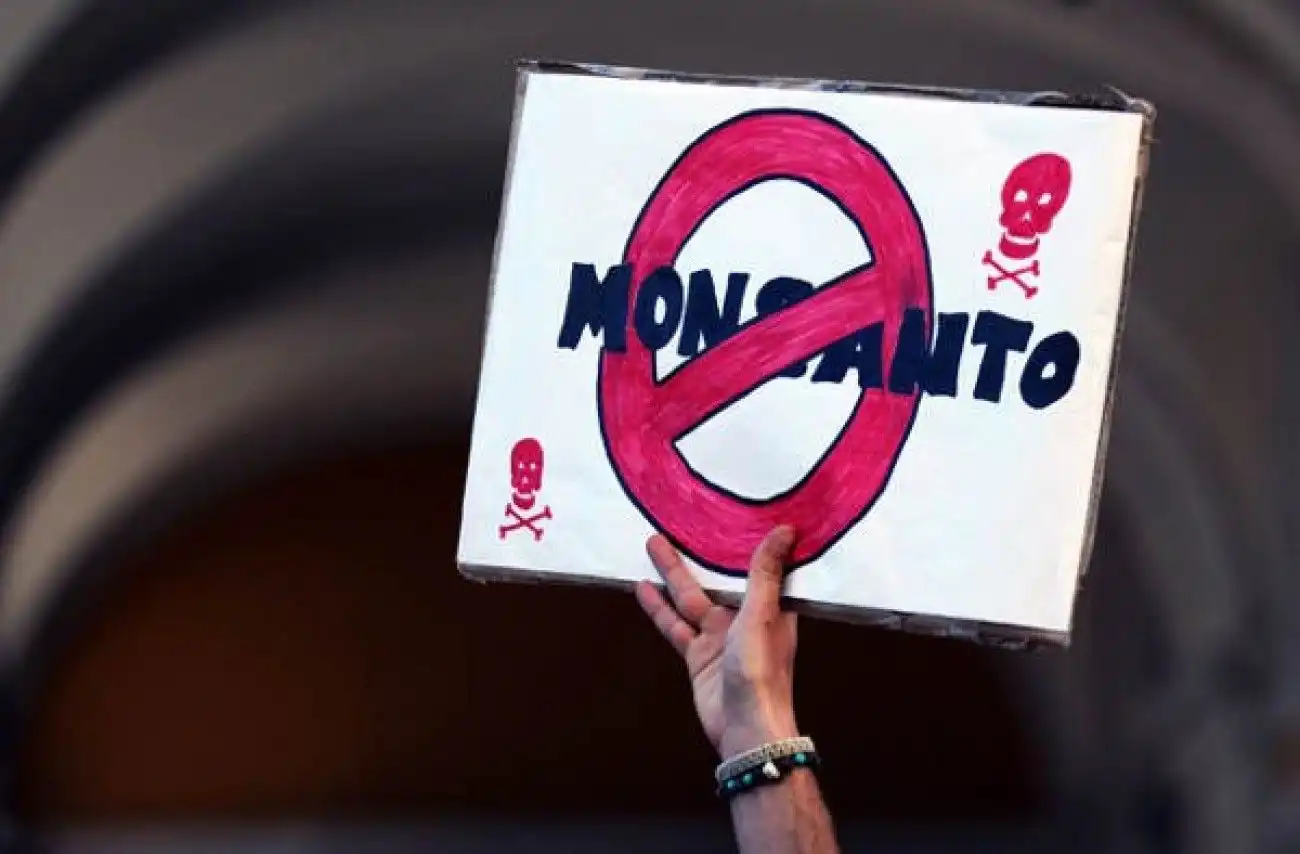 Гуд бай, Monsanto?