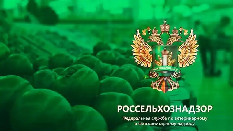Россельхознадзор завернул партию мяса и яблок из Молдовы