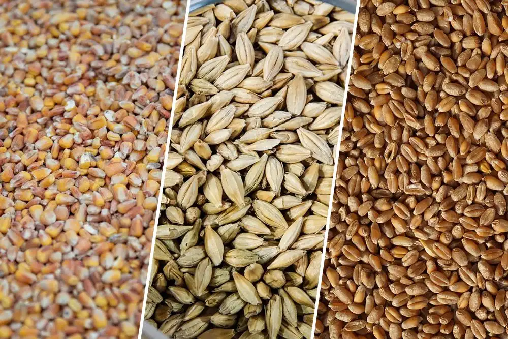 Цены на продукцию сельского хозяйства отметили очередной рост