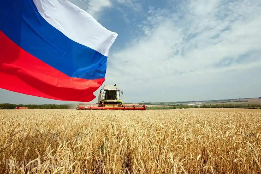 Экспортные цены на пшеницу РФ снизились на прошлой неделе после резкого взлета
