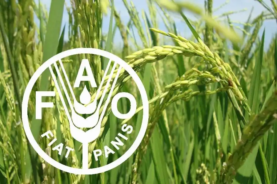 FAO lansează un proiect de consolidare a sistemelor de siguranță alimentară în cinci țări din Europa și Asia Centrală