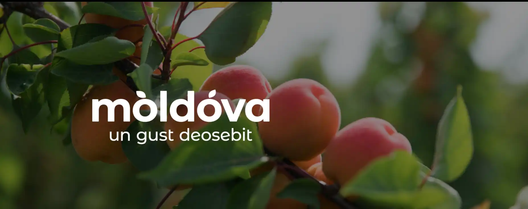 Fructele produse pe ambele maluri ale Nistrului, vor fi exportate sub umbrela aceluiași brand