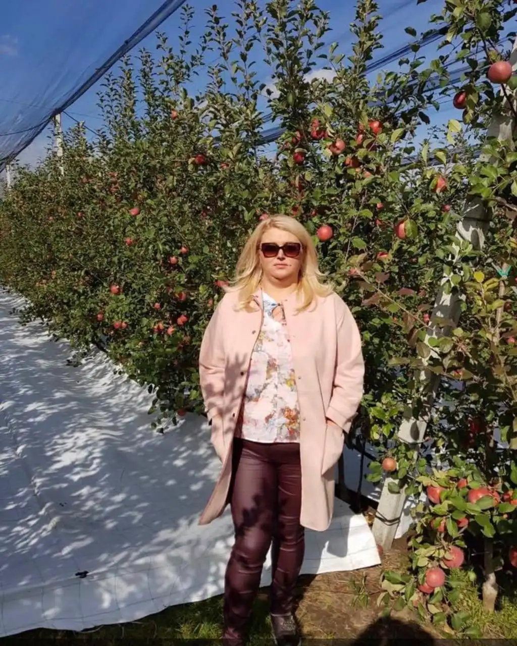 Eugenia Velicescu: Trebuie să punem accent mai mult pe producerea sâmburoaselor, dacă vrem să vindem pe piața rusă