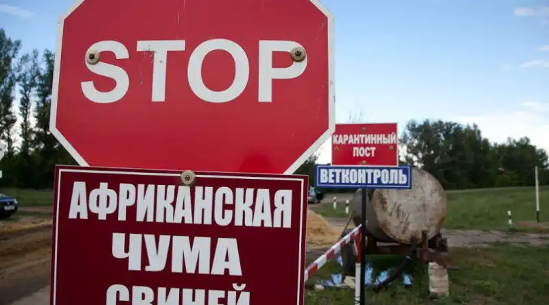Новый очаг африканской чумы свиней выявлен в АТО Гагаузия
