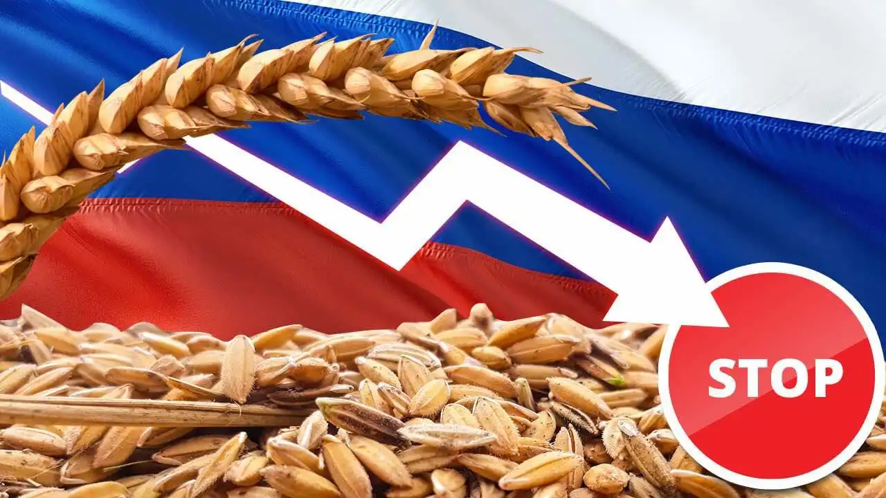 СовЭкон снизил прогноз экспорта пшеницы из РФ в сезоне 20/21