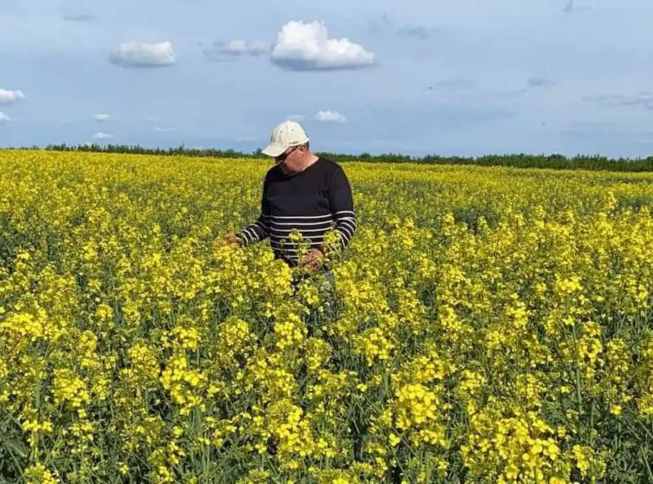 Gheorghe Panfil: ”Folosim insecticidul Avaunt EC în tehnologia noastră de protecție și suntem mulțumiți de rezultate”