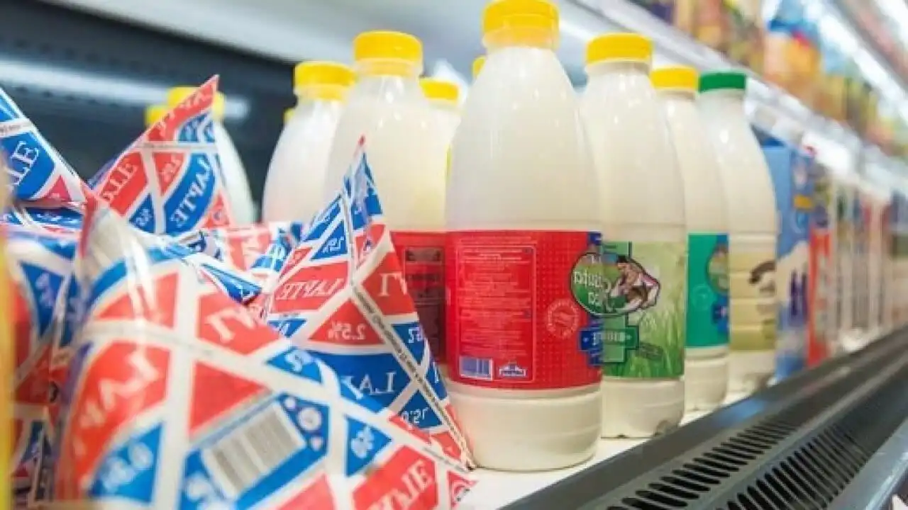 Каролина Линте: Импорт продолжает вытеснять молдавские молочные продукты с полок магазинов