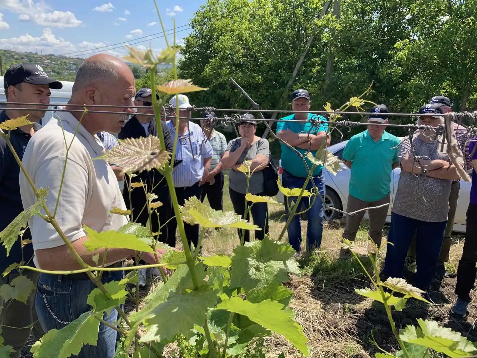 Serghei Tutovan: ”Am stabilit lucrările obligatorii în pre-floare, în plantațiile pe spalier vertical tradițional”