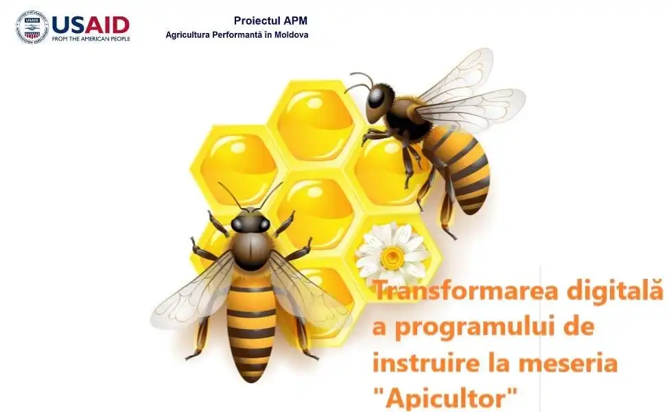 Școlile profesionale din Bubuieci și din Nisporeni au primit finanțare din partea proiectului USAID APM