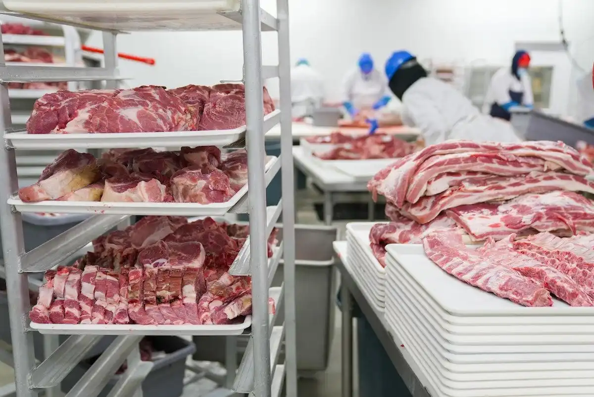 Налог на мясо решит проблемы, связанные с ростом потребления мяса — Beyond Meat