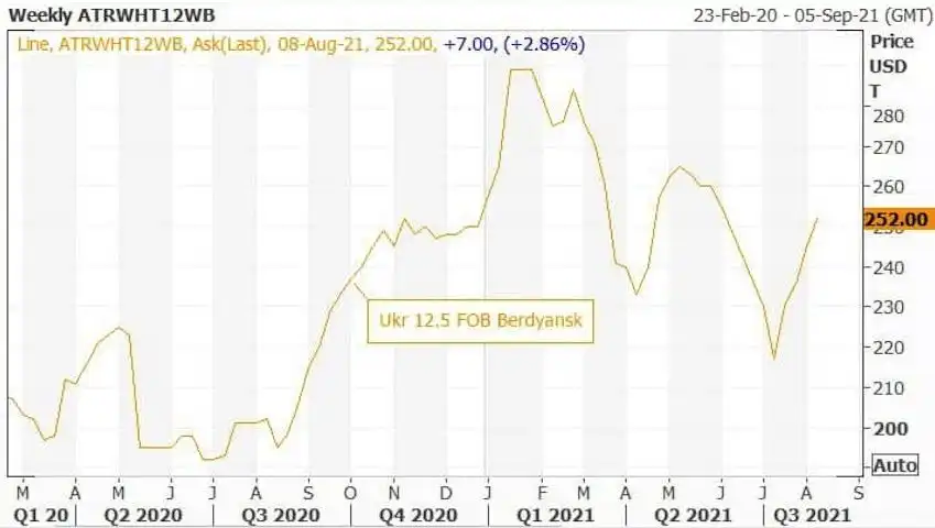 Черноморский рынок пшеницы выглядят перегретым в преддверии отчета USDA