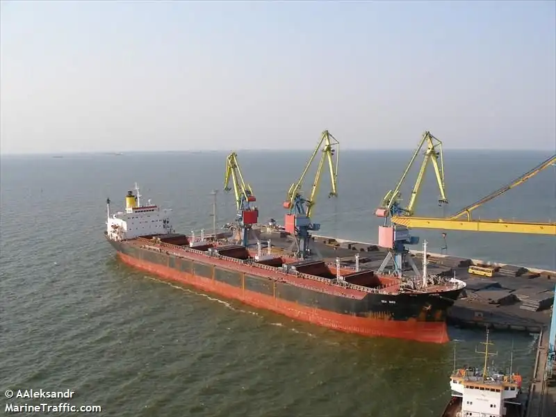 В Эгейском море затонуло судно с украинской пшеницей