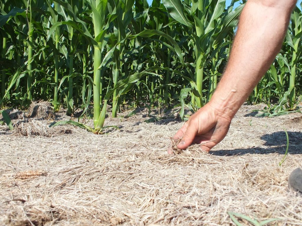 Технология «No-Till» : прошлое и настоящее