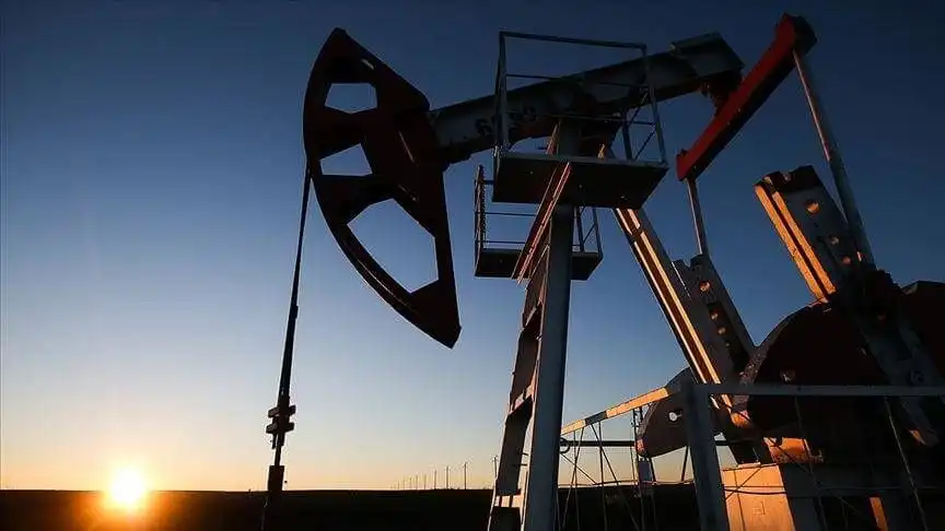 Появление «анти-ОПЕК+»: США и другие страны откроют резервы нефти
