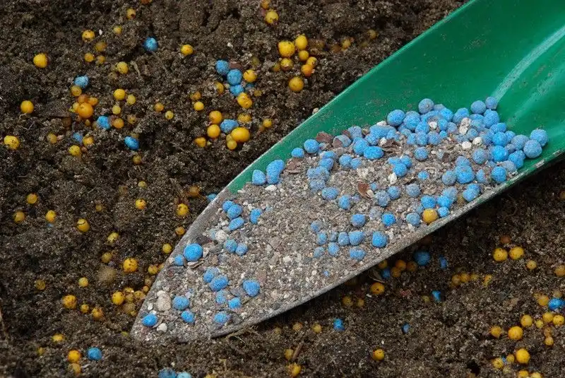 Agricultorii din Moldova caută soluții pentru a rezista în acest sezon agricol