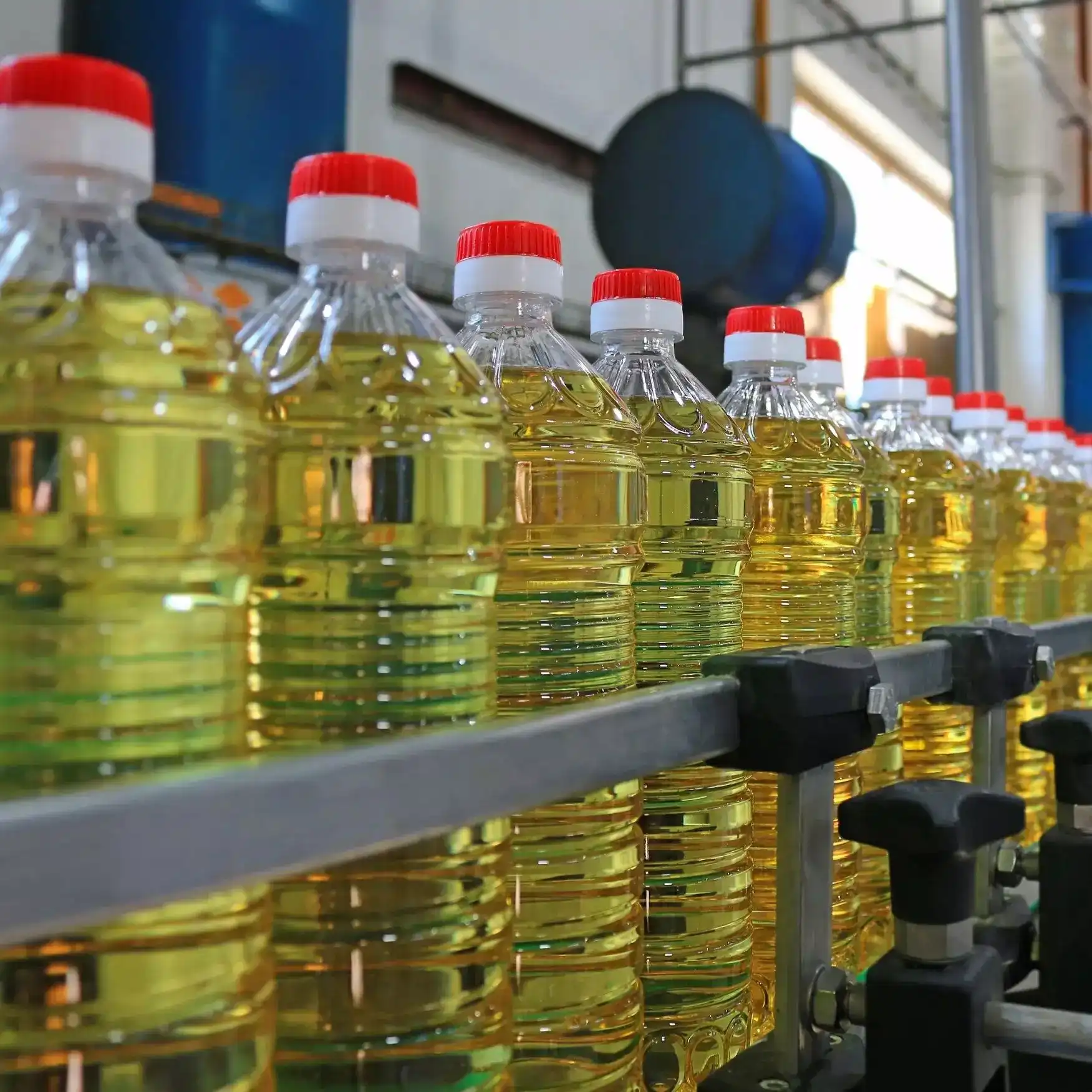 В Испании ограничили продажу подсолнечного масла в одни руки