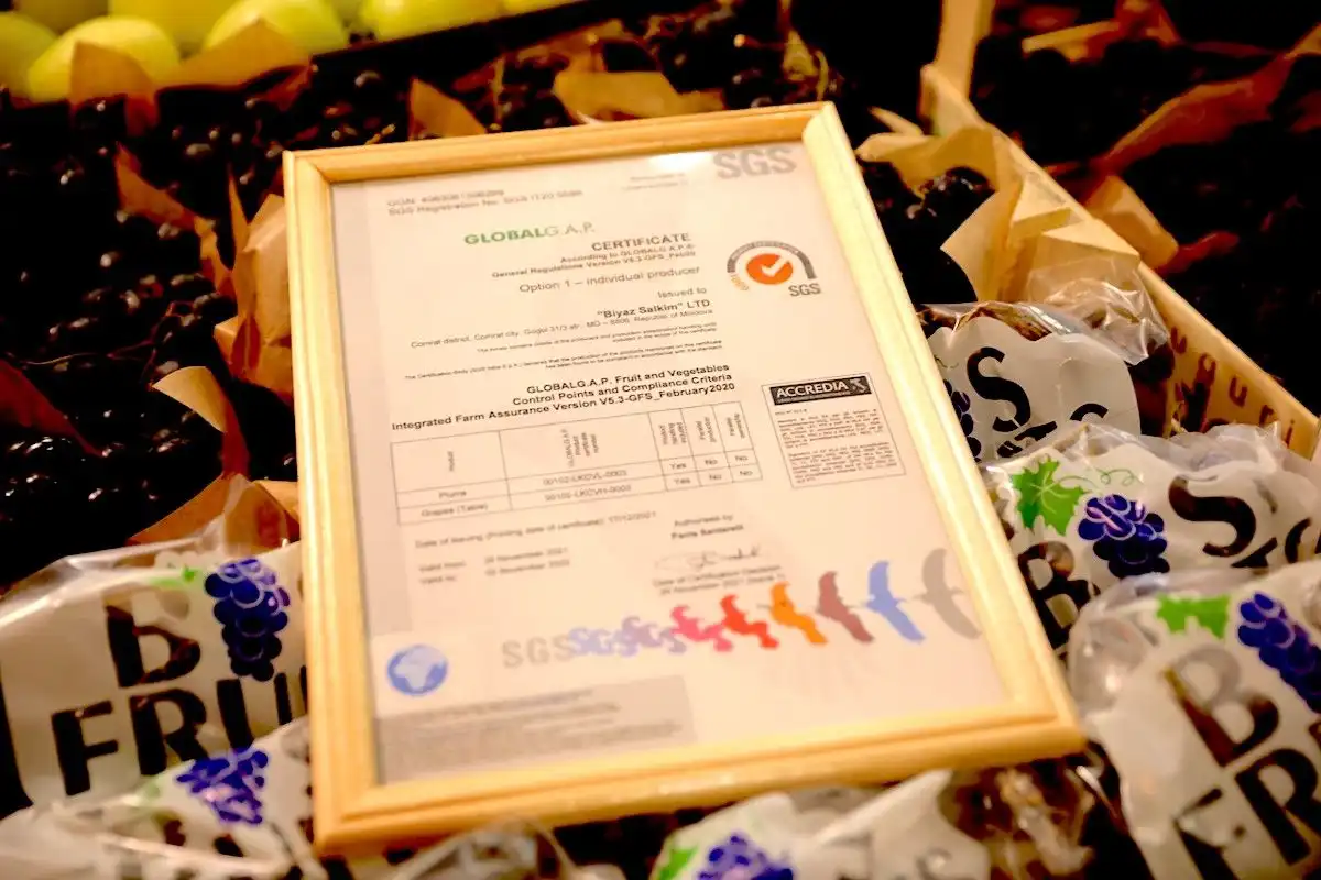 Lider Mondial şi inovator în domeniul inspectării, testării şi certificării