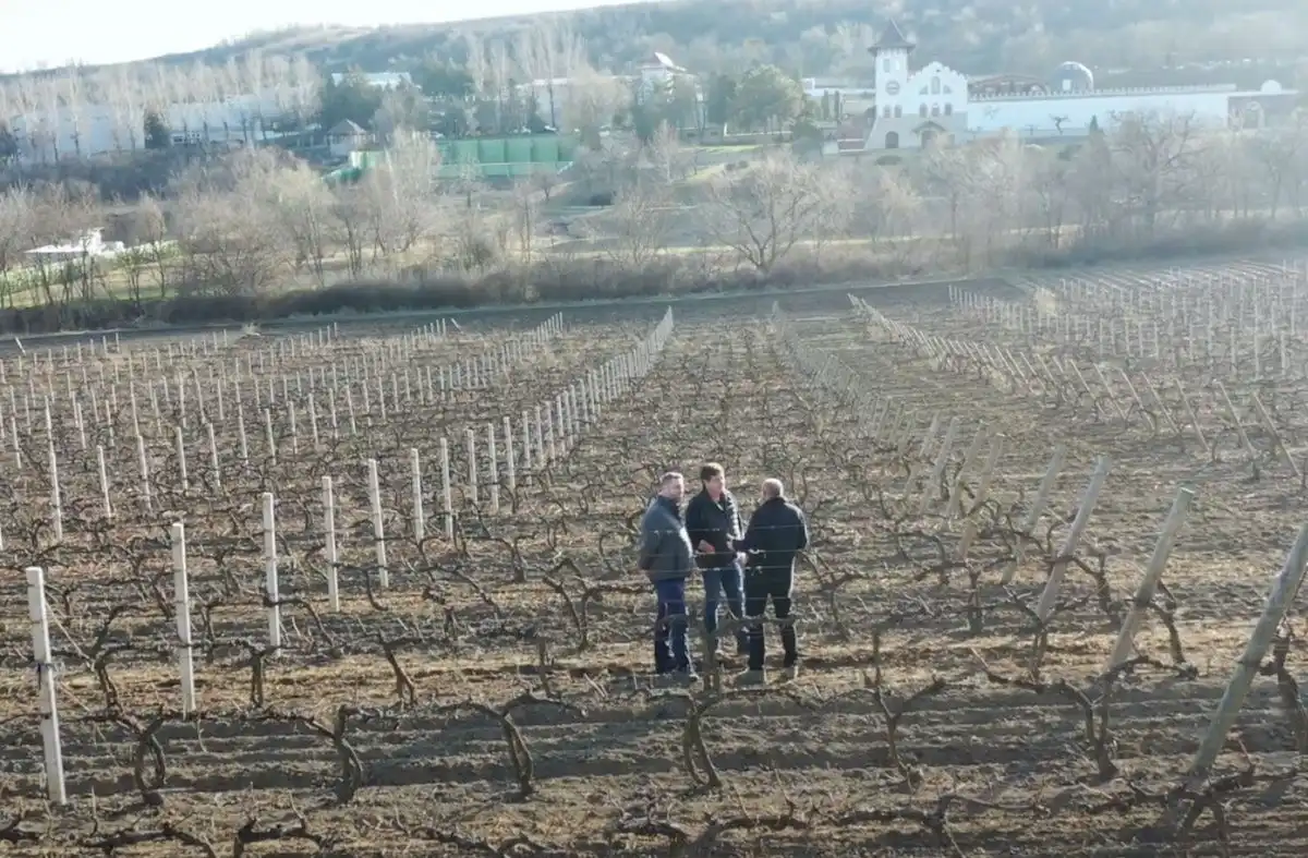 Video | Proiectul ”Crame Moldovenești» continuă la Purcari Wineries