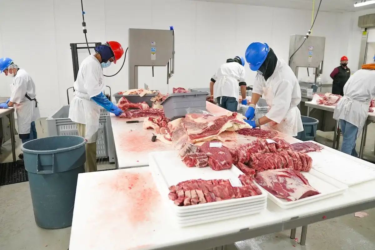 В Криулянах построят современный комплекс по переработке субпродуктов
