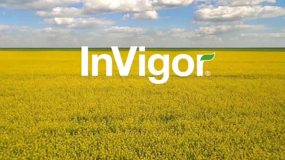 Video | Alege hibrizii performanți de rapiță InVigor de la BASF