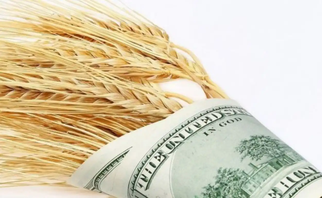 Аграрии Одесчины вынуждены продавать зерно за бесценок   
