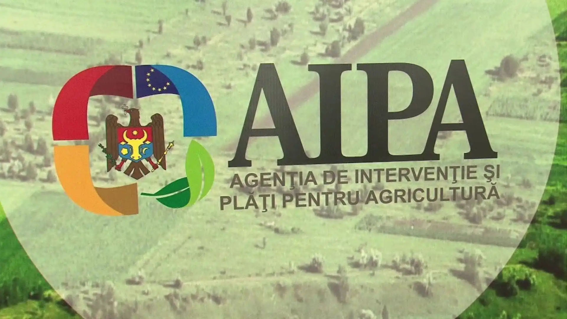 AIPA и посольство Венгрии в Молдове обновили контракты о сотрудничестве