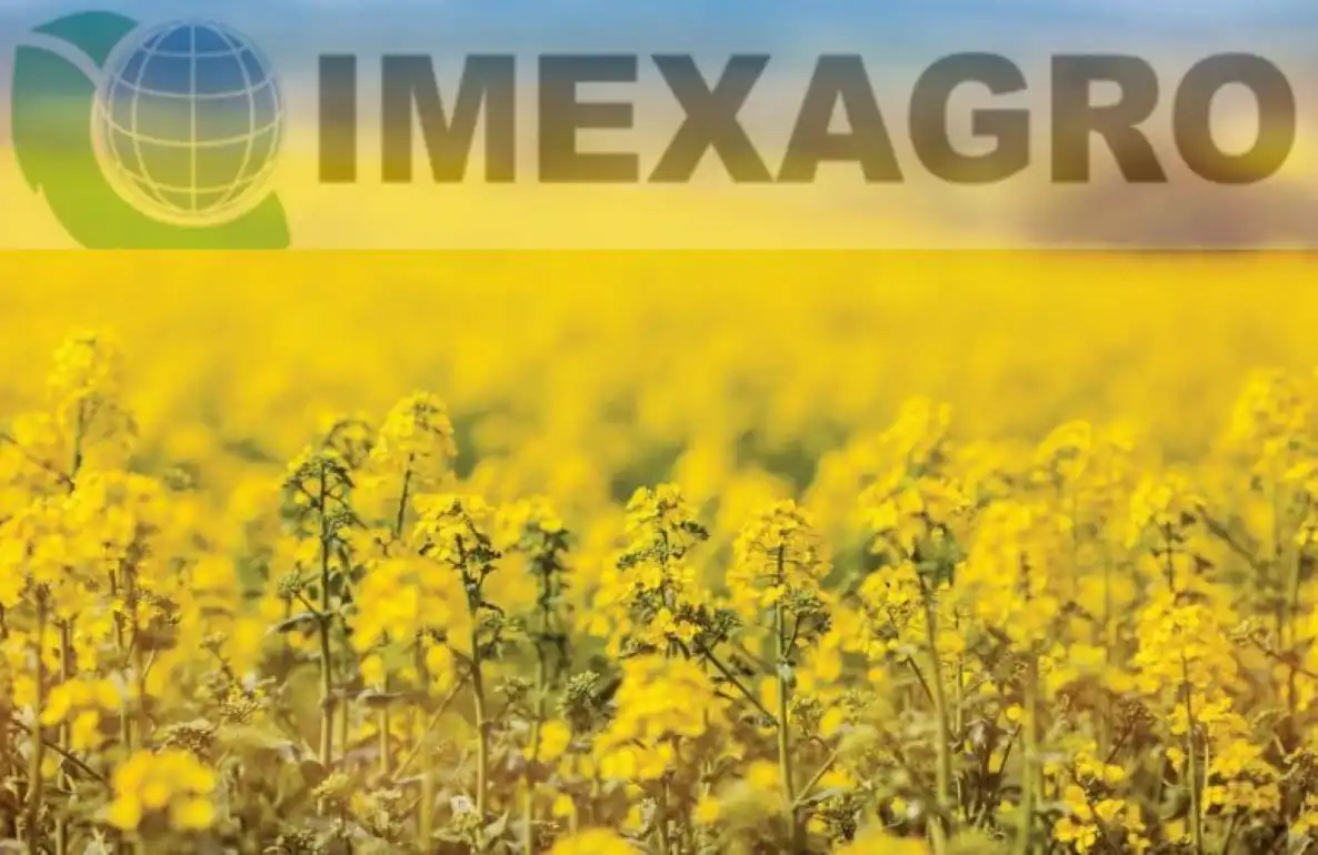 Именно то, что необходимо озимому рапсу осенью: рекомендации экспертов Imexagro