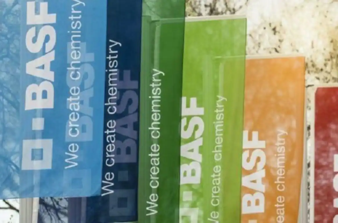 Компания BASF выводит на рынок три новых гибрида подсолнечника