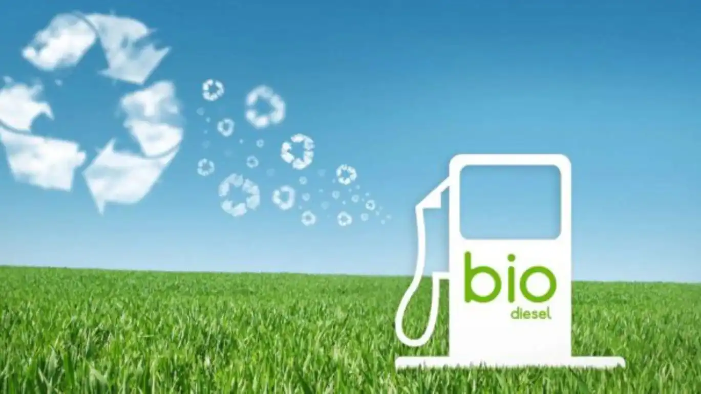 Производство биотоплива в мире будет постоянно расти — Bio Operations LLP   