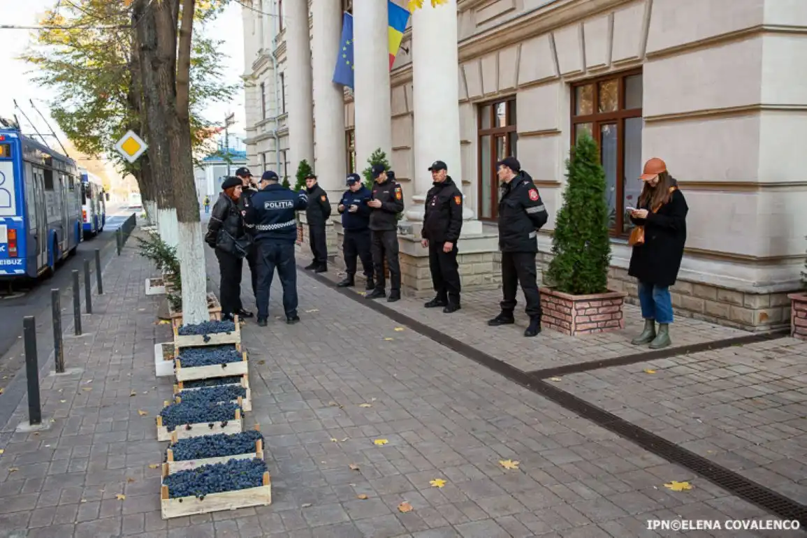 Чиновники из НАБПП не выдают молдавским сельхозпроизводителям фитосанитарные сертификаты