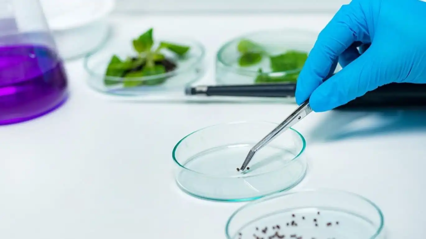 Corteva увеличит инвестиции в экологически чистую защиту растений