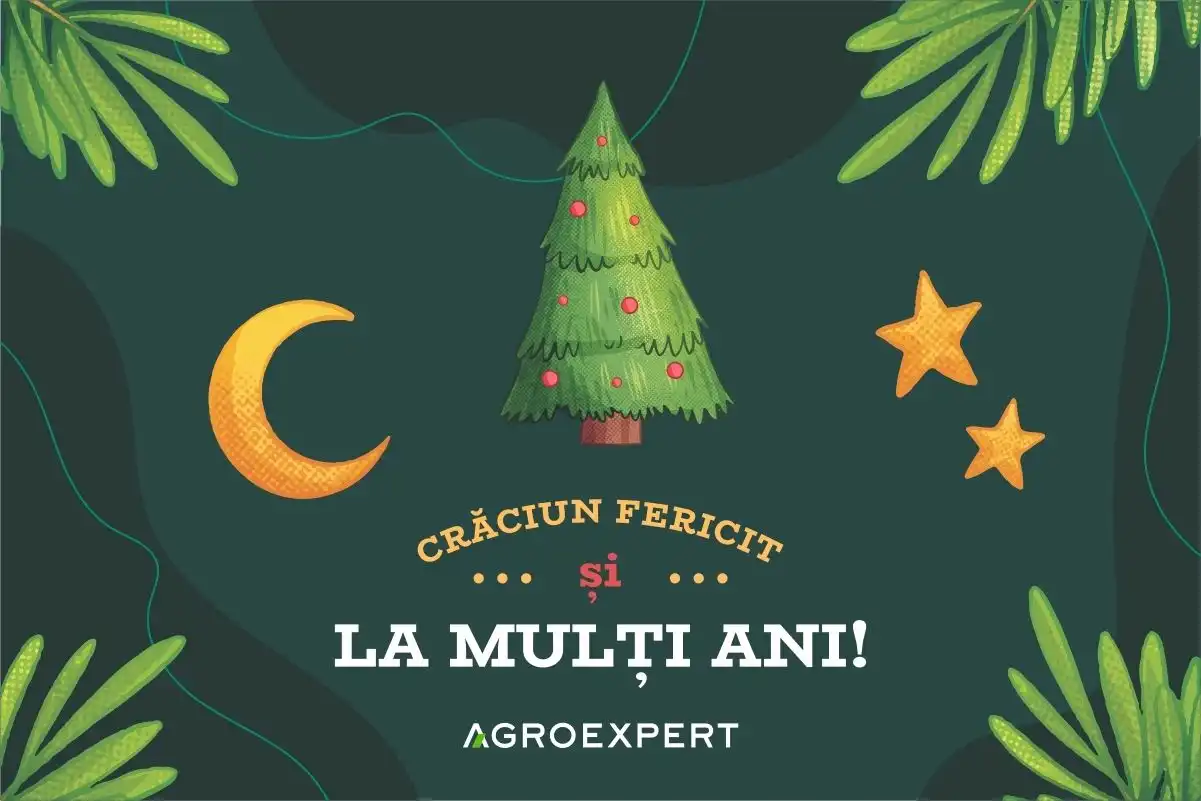 С Новым Годом!