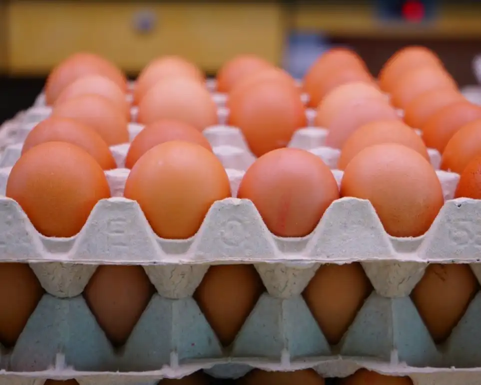 На Украине представлен новый продукт – варенное чищеное яйцо