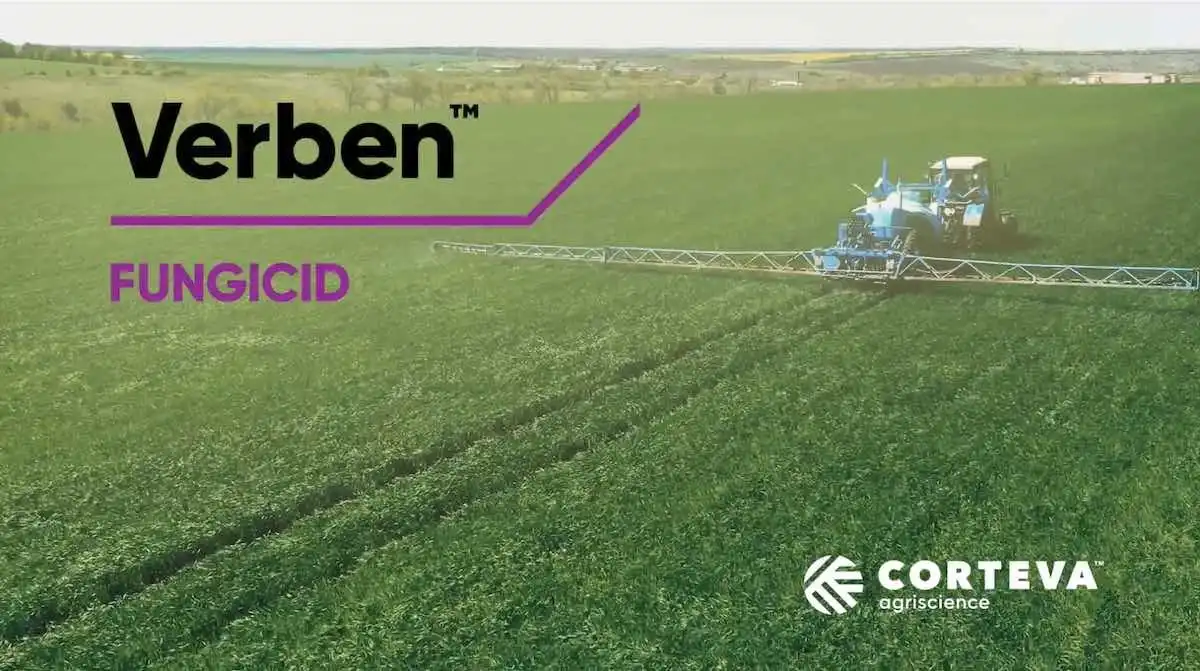 Verben™ — Un fungicid inovator pentru primul tratament la culturile de cereale păioase