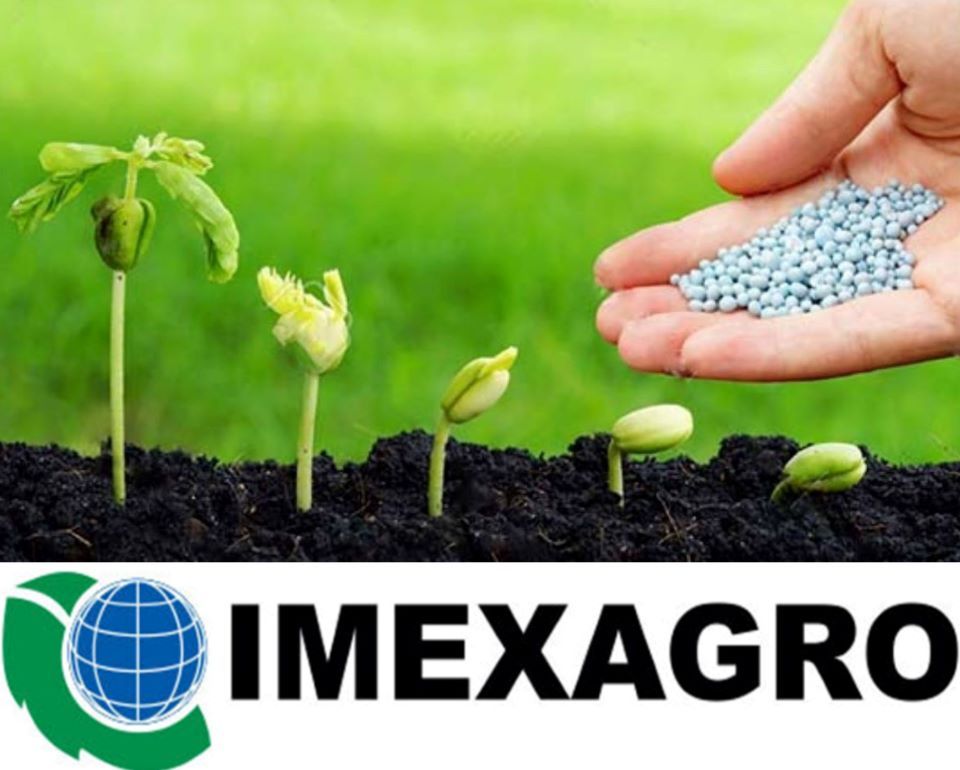 Эксперты компании IMEXAGRO о важности азотного питания посевов озимых культур   