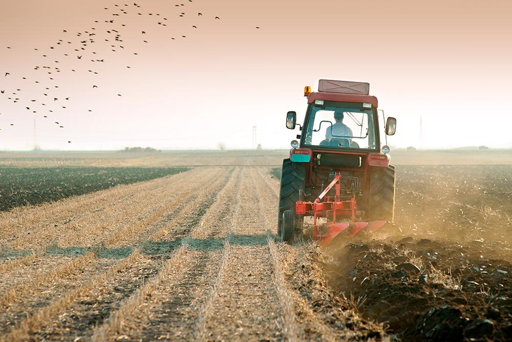 Asociația Forța Fermierilor cere autorităților să intervină cu soluții pentru creditarea agricultorilor mici și mijlocii