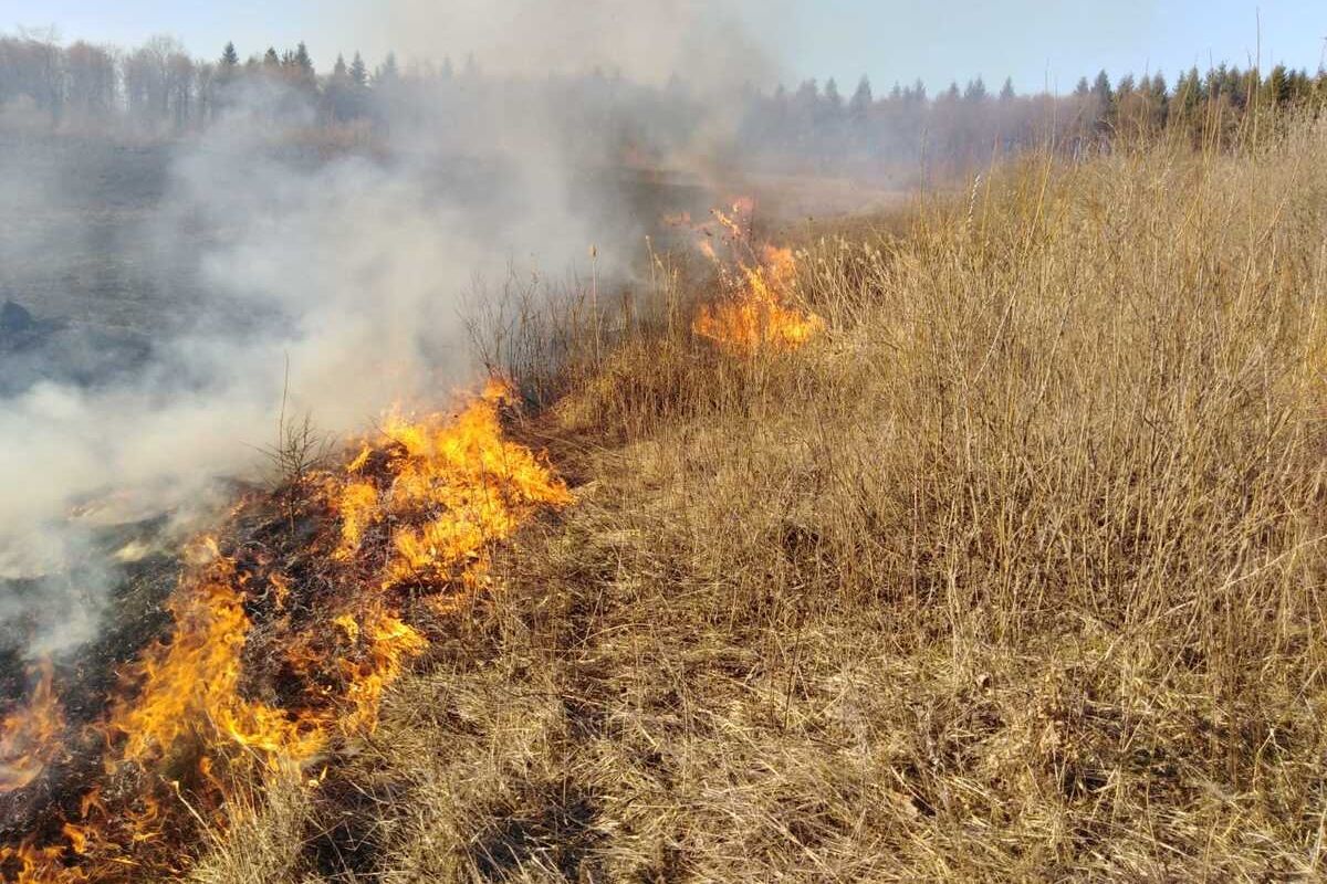 Arderea vegetației dăunează sănătății și mediului. Ce facem cu resturile vegetale