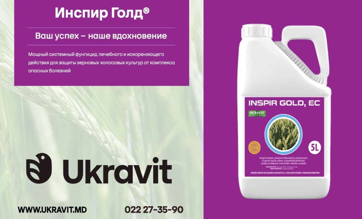 Новое решение для контроля болезней колоса