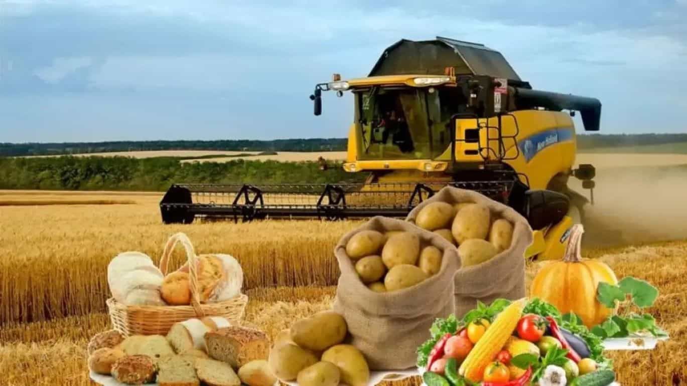 В Европе рост цен на сельхозпродукцию в 2022 году составил 26 процентов