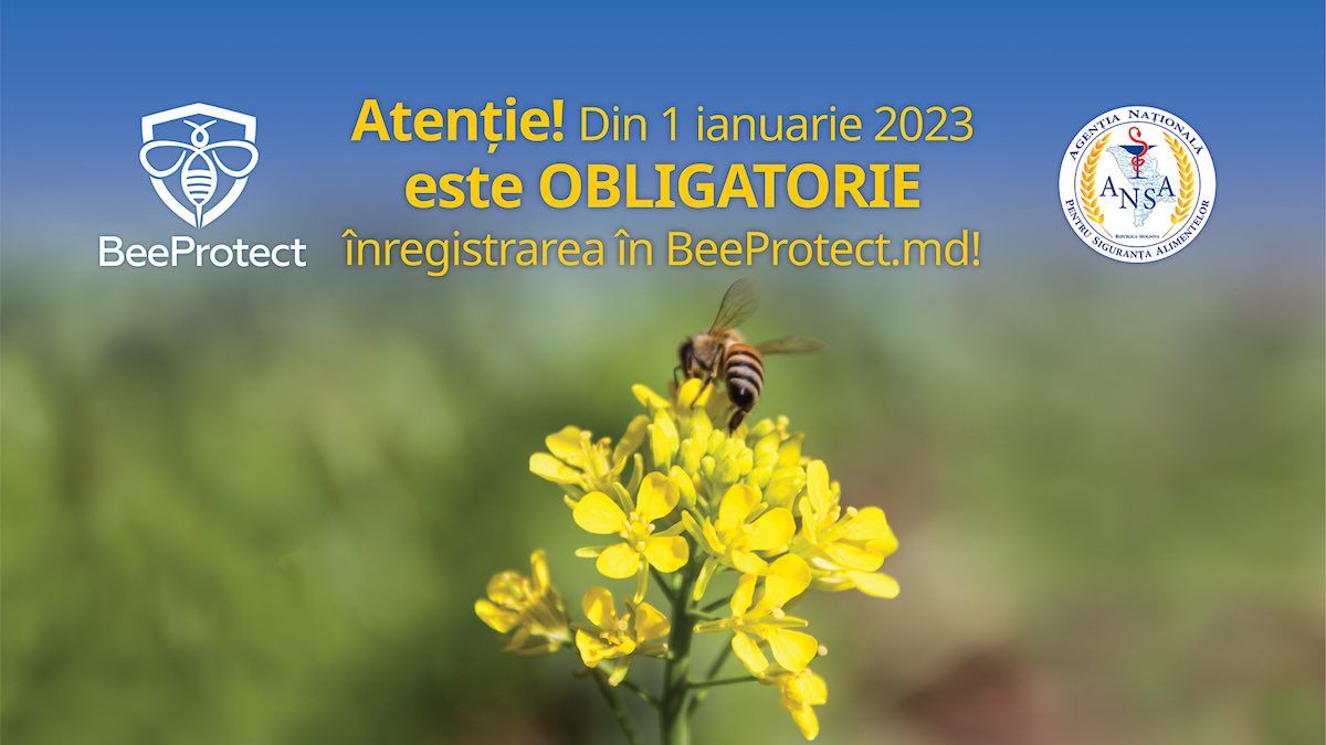 Din 2023, apicultorii și agricultorii sunt obligați să se înregistreze în sistemul BeeProtect.md