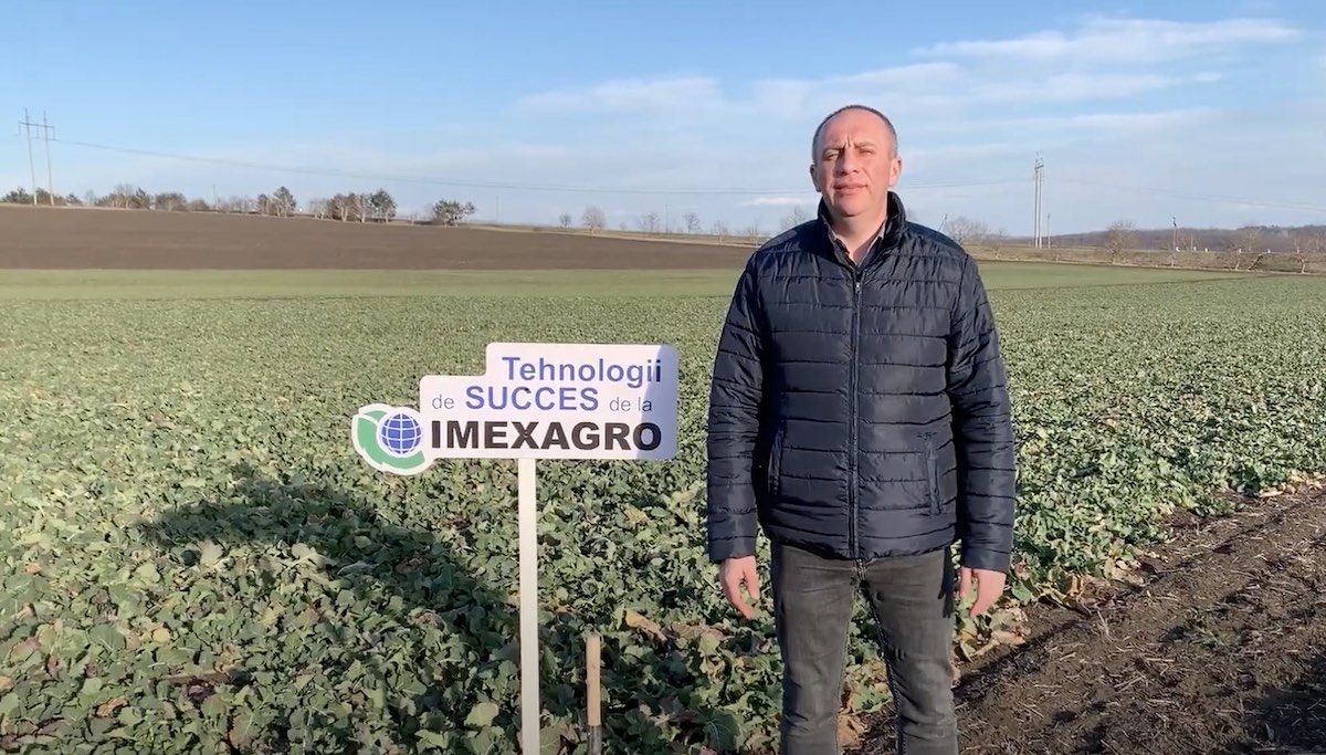 Внесение КАС 32 на ДемоЦентре Imexagro на озимый рапс