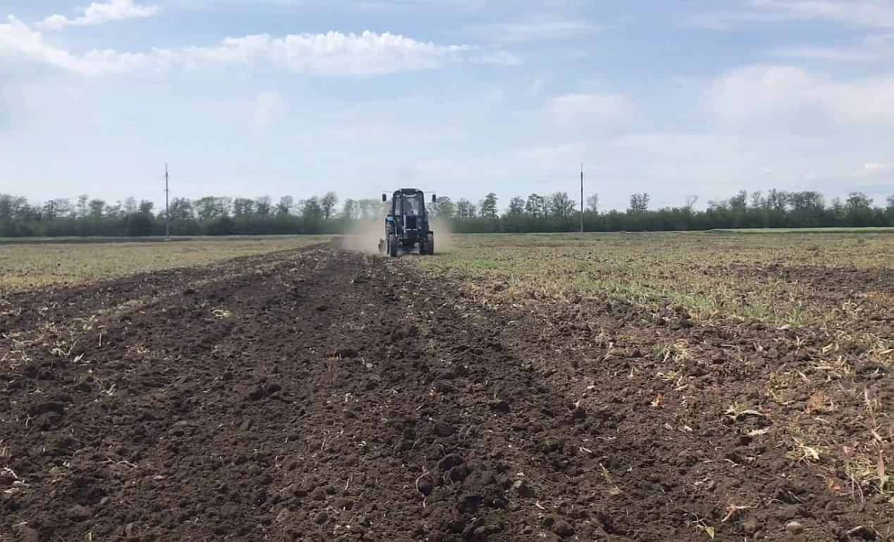 Около 60% госпредприятий агропродовольственного сектора неплатежеспособны   