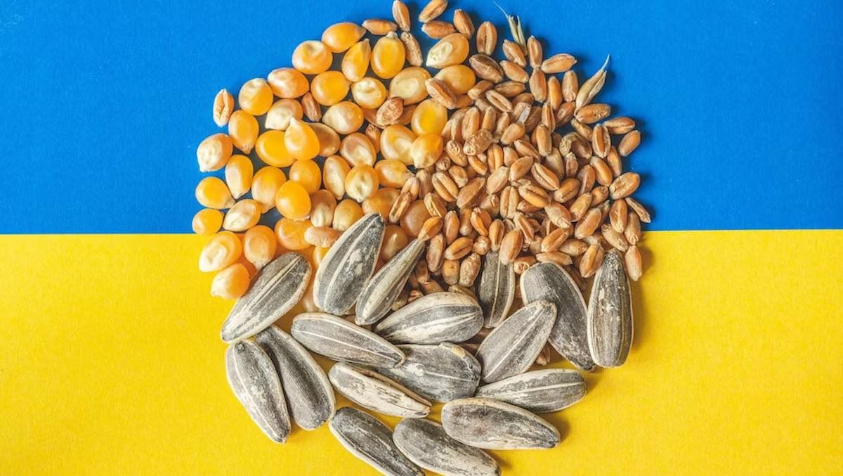 Criza cerealelor ieftine din Ucraina: România nu va interzice importurile și așteaptă decizia UE