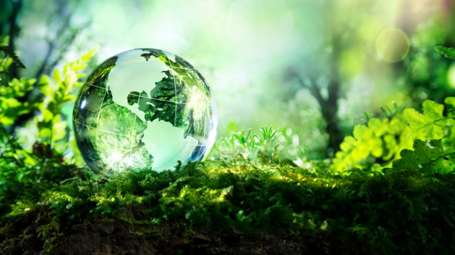 Ziua Mondială a Mediului: Care este programul activităților din Săptămâna Verde