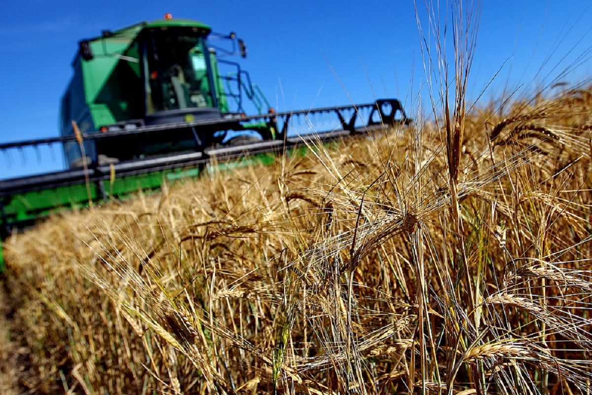 Subvenții complementare pentru agricultori. Cine ar putea beneficia de aceste plăți