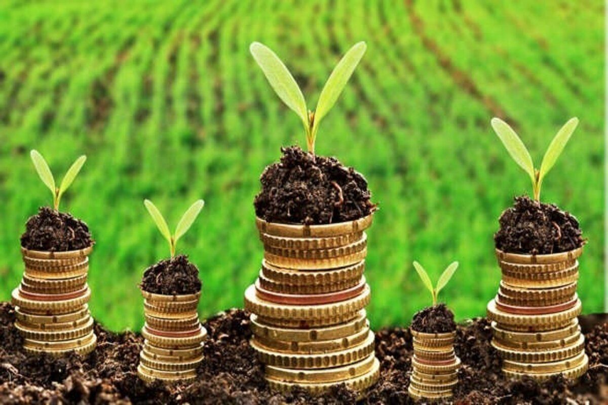 MAIA a semnat Acordul de împrumut pentru dezvoltarea agriculturii