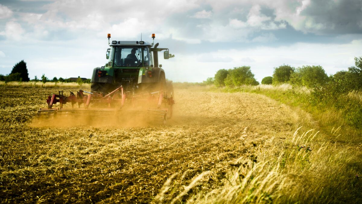Mai mulți producători agricoli vor beneficia de rambursarea TVA