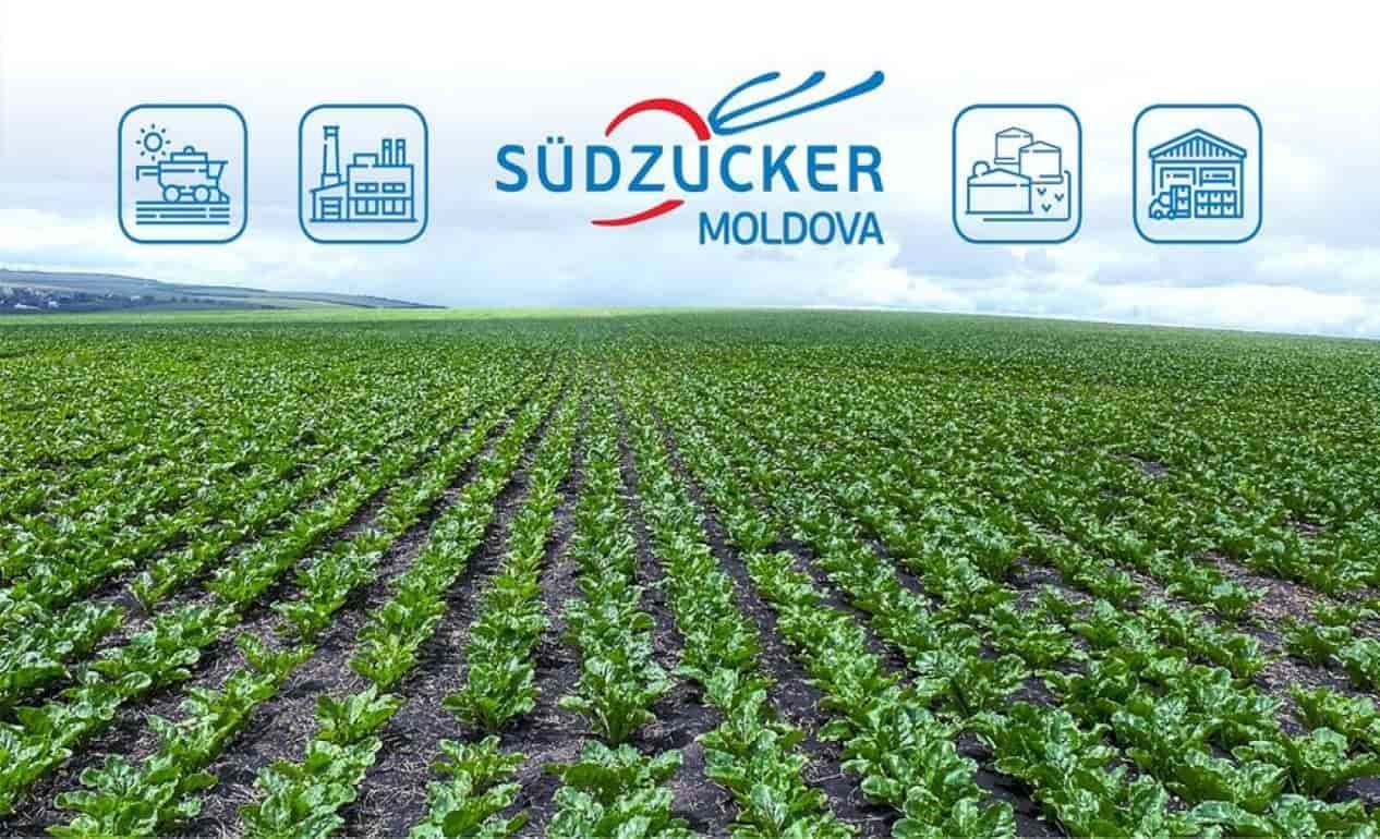 Руководство европейского концерна Südzucker AG посетило молдавскую дочернюю компанию