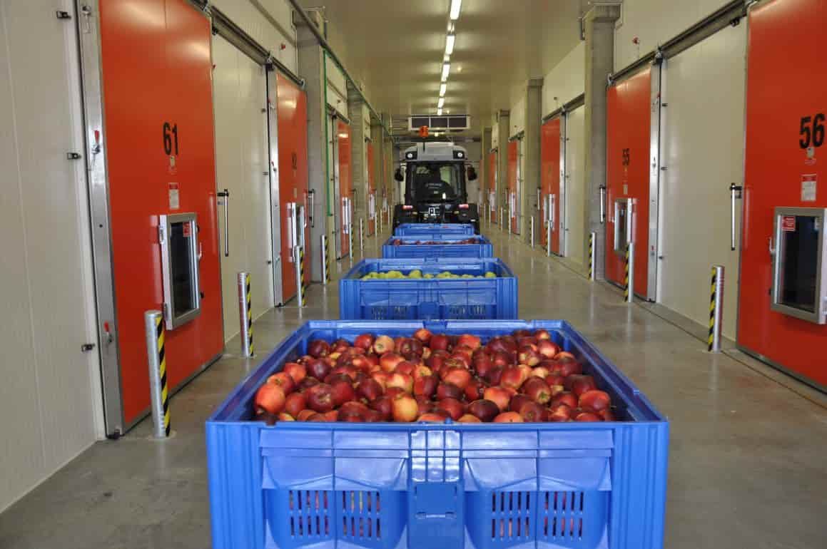 Три новых продукта от «АгроФреш» в инновационном портфеле Apple Complete