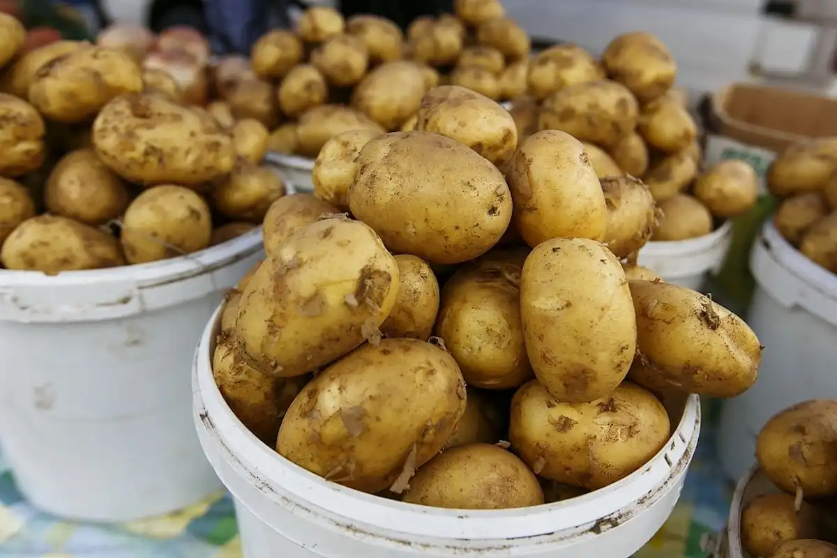 Цены на картофель в Молдове бьют рекорды